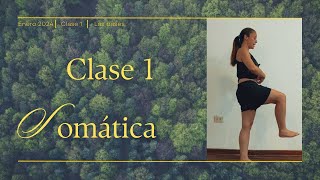 🧠🫀🫁Clase de somática las bases [upl. by Kester]