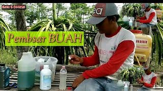 Pembesar Segala Buah [upl. by Nakre]