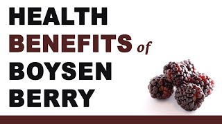 Boysenberries  impressive Nutrition Facts and Health Benefits Nuturemite English [upl. by Duntson]