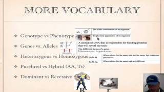 Genetics Vocabulary Tutorial [upl. by Noira601]