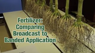 Fertilizer Comparing Broadcast to Banded Application [upl. by Innos330]