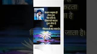 osho geetawisdom daily [upl. by Hett]