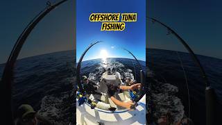 Offshore tuna fishing from TOFINO BC Albacore longfin trolling in the PNW [upl. by Bouton]