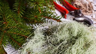 Koekjes Kerstkransen amp Gezelligheid😊🍪🌲 Weekvlog 105 Slowliving in Zweden  Emigreren naar Zweden [upl. by Macleod]