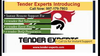 Tender Experts Services Introduction [upl. by Bihas845]