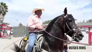 Joan Sebastian Detrás De Las Escenas [upl. by Delgado]