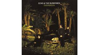 Echo amp The Bunnymen  Evergreen [upl. by Andromede]