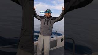 EPIC Day of Fishing 4 Big TUNA shorts fishing [upl. by Haldi]