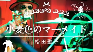 小麦色のマーメイド 松田聖子コピーバンド Chee’s Bar チーズバー 小金井ロージーノート [upl. by Monney]