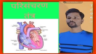 7 October 2024circulatory system in hindi 🥰 परिसंचरण तन्त्र 🥰 by khansirto [upl. by Hanaj]