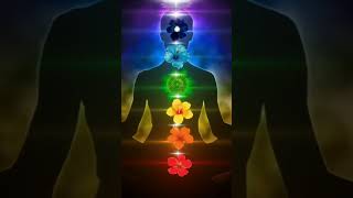 ✨ Cómo Alinear tus Chakras en Menos de 1 Minuto 🧘 energia elpoderdelequilibrio retodemeditacion [upl. by Gniliem]