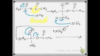 Synthesis of Acetamide from Acetic Anhydride RXN Mechanism [upl. by Yroger577]