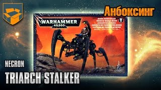 Анбоксинг  Necron Triarch Stalker [upl. by Onfre]