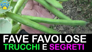 FAVE FAVOLOSE TUTORIAL TRUCCHI SEGRETI E CONSIGLI PRATICI NELL ORTO [upl. by Lenoj639]