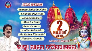 SUPER HIT BHAJAN OF ARABINDA MUDULI JAMATU BHIDAKU NUNHEALBUMKANHA AASE NANDIGHOSA RE [upl. by Eiramac]