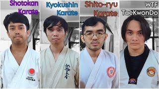 Shotokan Karate vs Kyokushin Karate vs Shitoryu Karate vs TaeKwonDo  Ultimate Friendship Sparring [upl. by Nehemiah499]