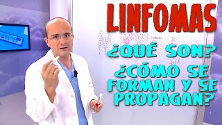 LINFOMAS Todo lo que necesita saber ¿Qué son ¿Como se propagan  CÁNCER 15 [upl. by Margalo]