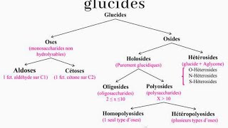 structure et propriétés des glucides biochimie [upl. by Griffiths]