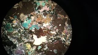 Amphibole thin section in microscope stage rotation in both conditions PPL ampXPL [upl. by Ydualc262]