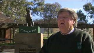 Gundagai banks on dog to bring tourists [upl. by Meikah90]