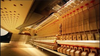 The Fascinating World Inside of a Piano [upl. by Pelligrini]