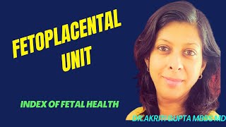 Fetoplacental unit  Fetoplacental step by step fetal circulation flow chart [upl. by Cowen]