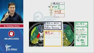 NEUROLOGÍA Esquemas de repaso Qx Medic 2023 [upl. by Turino]