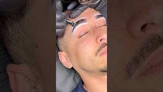 Brow Tint  Men’s Brow Tint explore viralvideo youtubeshorts brows browtint beauty [upl. by Rubi]