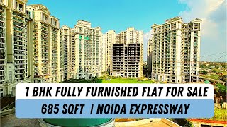 1 bhk flat for sale in noida  1 bhk apartment in noida  Sunworld Arista [upl. by Westleigh378]