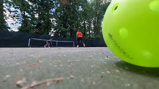 Fairfax Co Park Authority restarts removal of pickleball courts with security guard in place after [upl. by Pantia872]