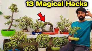 13 Jade plant magical Hacks  Money making plant  jade plant care [upl. by Marlow431]