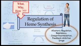 Regulation of Heme Synthesis made easy [upl. by Remington208]