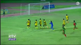 Referee attacked by players in the Ethiopian Premier League [upl. by Gaelan]