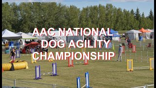 2022 AAC National Dog Agility Championships  International Rounds [upl. by Masson]