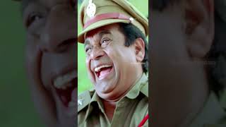 వేణు తో ఆడుకున్న బ్రహ్మి 😂  Brahmanandam  Ramachari Movie  Venu Thottempudi  YouTubeShorts [upl. by Arais892]