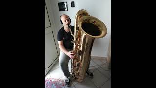 Jelle Stainer Eb Contrabass Saxophone [upl. by Nauqet542]