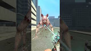 Big City Experiment Zoochosis Animals Transformation Into Mutant Zoonomaly Monster Combined in Gmod [upl. by Nollaf]