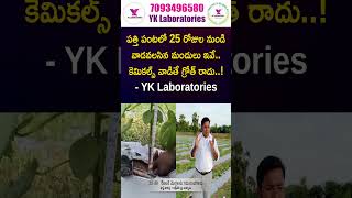 పత్తి cotton మోనో అసెఫేట్ అవసరం లేదు ఆక్సీవెజ్ ఉంటే తక్కువటైం లో క్రాపె సెట్టింగ్  YK Lab [upl. by Kere]