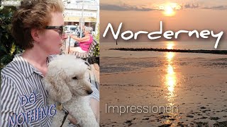 Norderney Impressionen eine Woche im August 2024 [upl. by Marguerie]