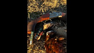 Charlie Faulds Driven pheasant hunting UK 2023 [upl. by Otrepur]