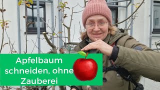 Apfelbaum schneiden wann ist der richige Zeitpunkt [upl. by Nirihs]