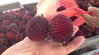 Pulasan Fruit Opening Malaysia [upl. by Nbi]