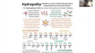 Amino acids  all about em [upl. by Nosnarb255]