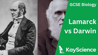 Lamarck vs Darwin  Biology GCSE  kaysciencecom [upl. by Mines773]