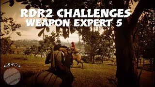 RDR2  Weapon Expert 5 Easy Guide [upl. by Llewsor]