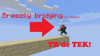 Minecraft Breezily Bridge Yapma TRde İLK [upl. by Skantze125]