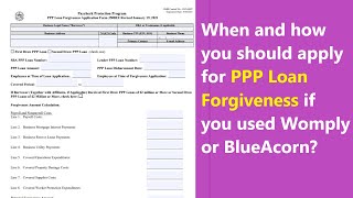 PPP Forgiveness Deadline Update  when exactly you should apply if you used Womply or BlueAcorn [upl. by Veneaux]