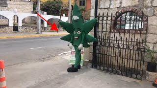 Best Dispensary In Montego bay Jamaica You Wont Believe What Happen Jamaican Vlog [upl. by Imhsar983]