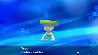 pokemon shield evolving lotad into lombre then into ludicolo [upl. by Eerok]