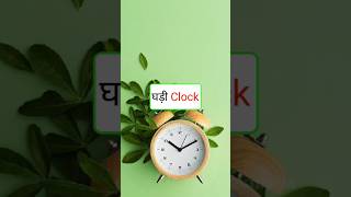 Daily Use English Sentences English Englishwithamisha english shorts words shortsfeed yt [upl. by Eva]